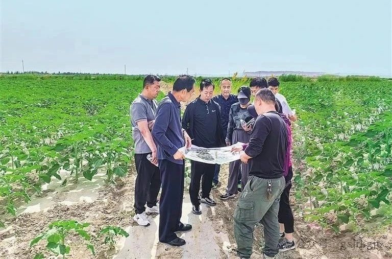 토토 사이트 커뮤니티